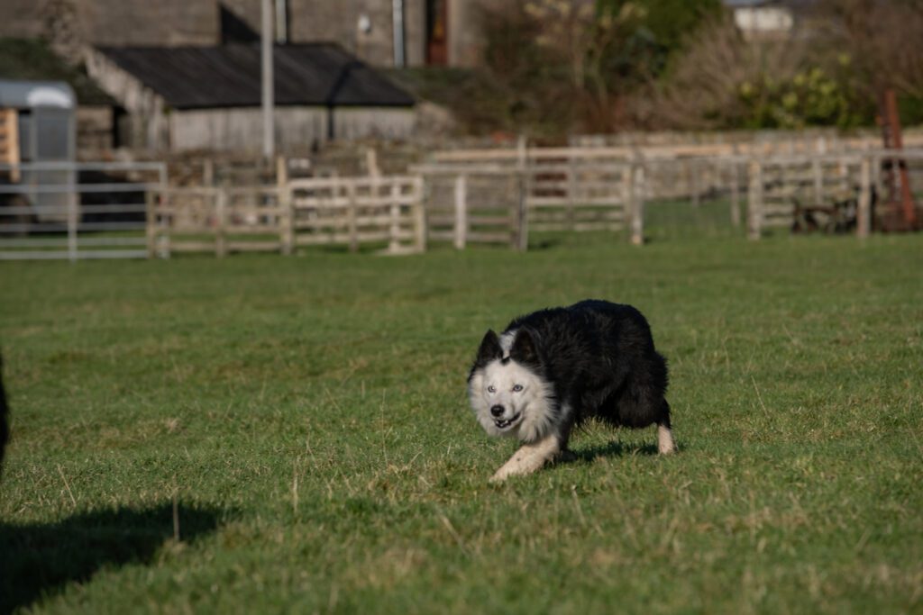 Barn-177-1024x683